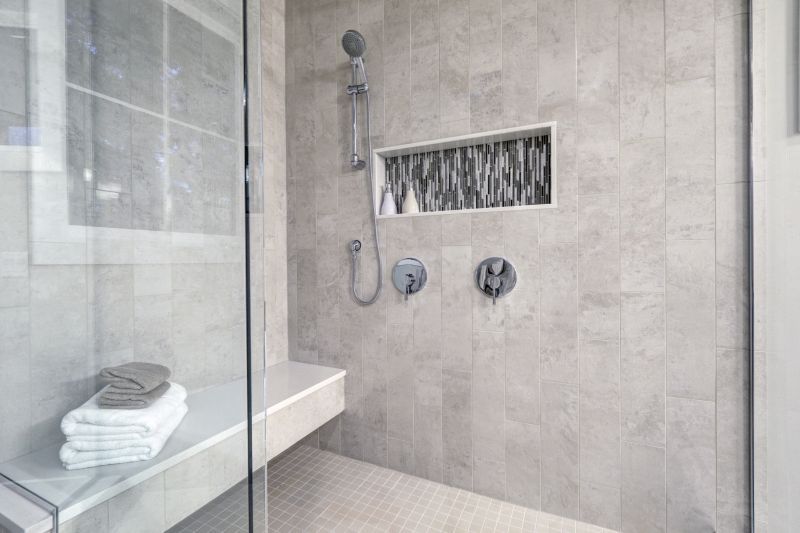 Stylish Shower Features